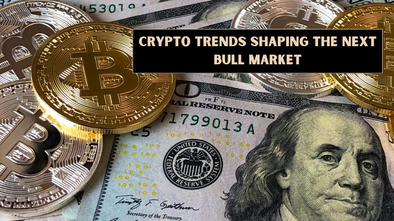 Crypto Trends Shaping the Next Bull Market